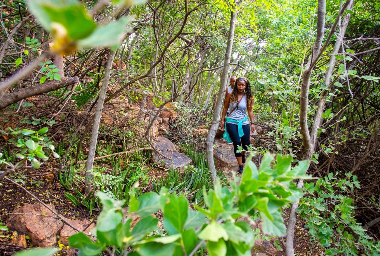 בית הארחה יוהנסבורג 	The Cliffside Boutique Getaway מראה חיצוני תמונה